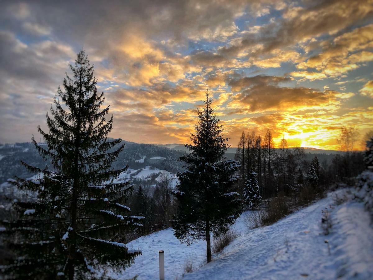 Apartment The Beskid View